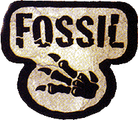 Fossil set artwork